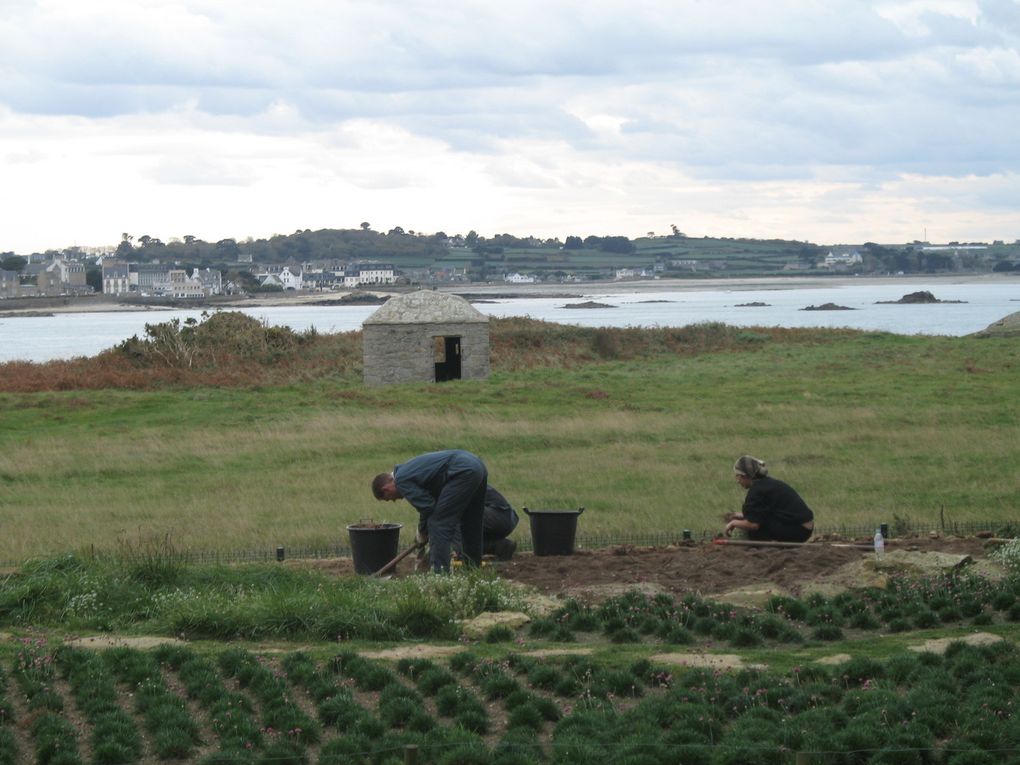 Jardin de l'île de Batz - Bretagne