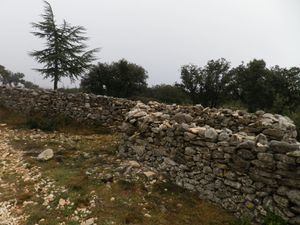 Le Mur de la Peste à Lagnes le 17 janvier 2015