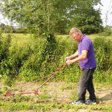 De la graine aux légumes, déambulez entre les tomates, carottes et les gombos de Francis