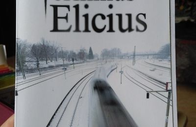 Terminus elicius