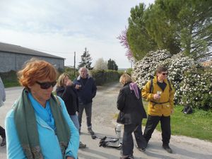 promenade n°34 d'avril 2019 en Saintonge Romane.