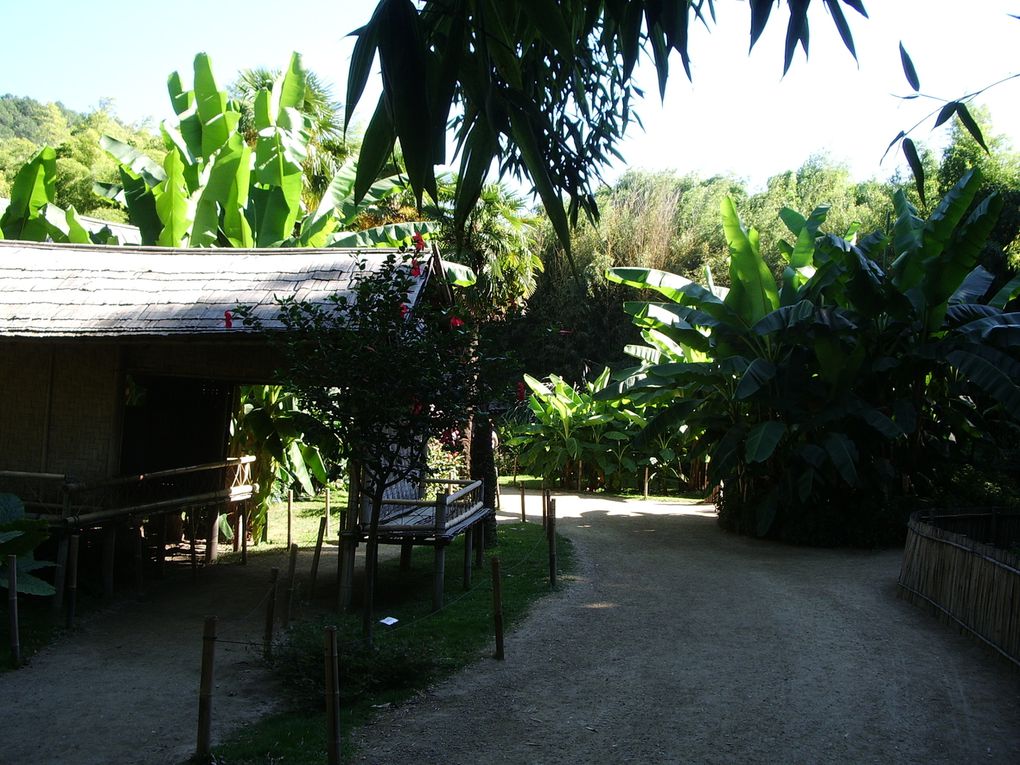 balade au milieu de 12 hectares de bambous et de magnifiques paysages