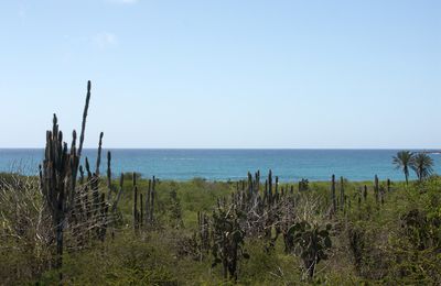 Une mission aux Galapagos