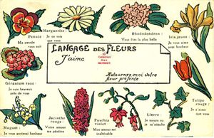 Iris -2098- Langage des fleurs. Je vous aime avec bonheur. France.