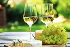 #Sauvignon Blanc Producers Chilie Vineyards