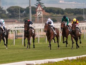 23 octobre 2018 DEAUVILLE - R1-C3 - Plat