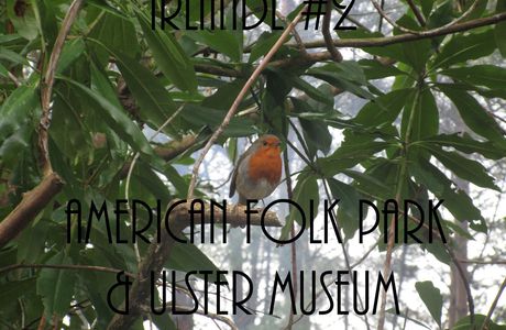 Irlande #2: American Folk Park & Ulster Museum.