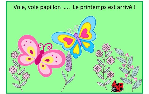 Activités : Papillons 