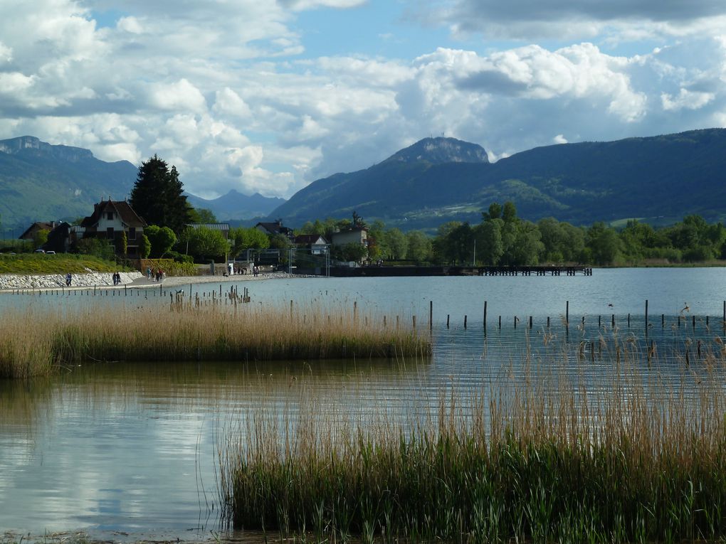 Album - Lac-du-Bourget