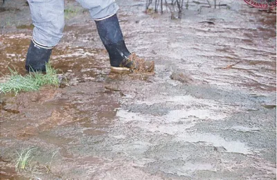 L'eau c'est la vie mais c'est aussi vecteur de maladies et de morts, l'assainir après l'avoir polluée devrait-être la priorité des priorités.