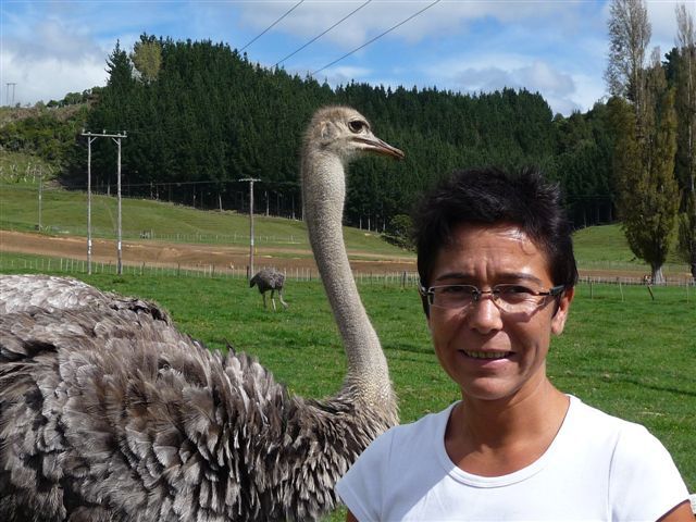 On ne connaissait rien de la NZ et on a découvert un pays magnifique. Une petite partie de l'ile du nord en camper van..Génial.  La nature a l'etat pur et une population accueillante.