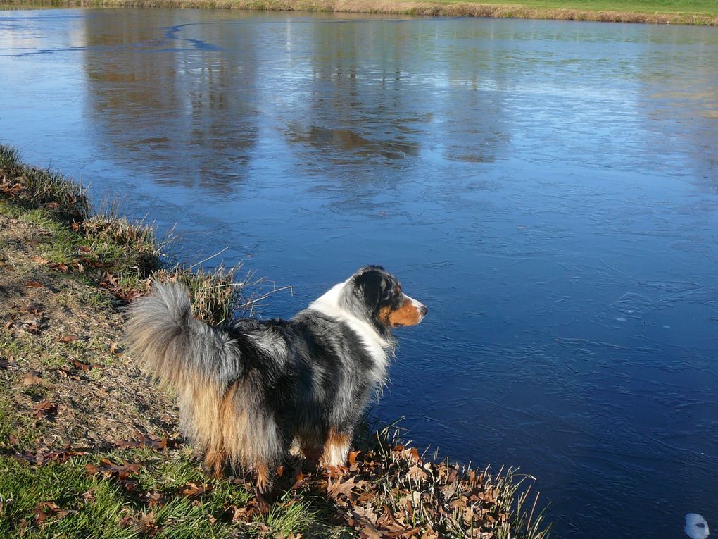 Balade autour du lac