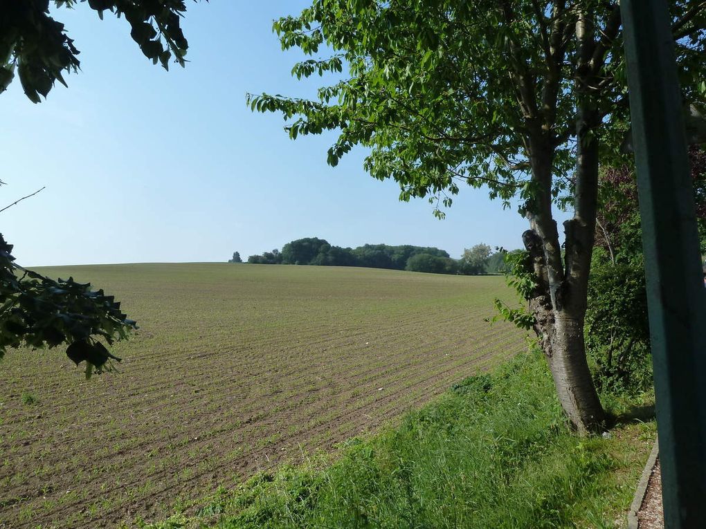 Randonnée en boucle autour de Survilliers-Fosses, 21,6 km.