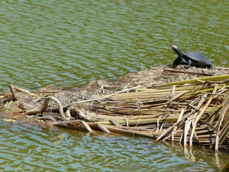 Album - Huacachina