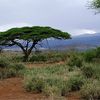 Ruée vers les terres “libres” d’Afrique-par Colette BRAECKMAN