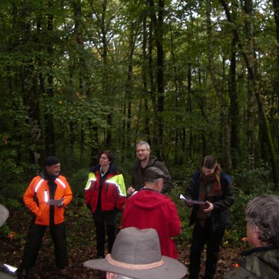 Journée technique CNPF-IDF - Vulnérabilité climatique des habitats forestiers et sylvicultures adaptatives