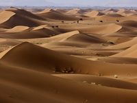 Le désert de MHAMID (Sud du Maroc 🇲🇦)