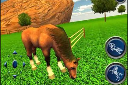 Horse Simulator 3D