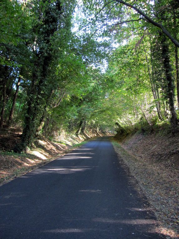 balades à vélo