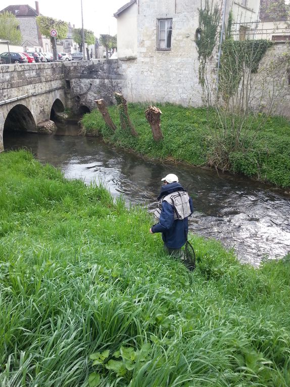 Album - Street fishing Amicale-de-Provins-du-27-Avril-2013