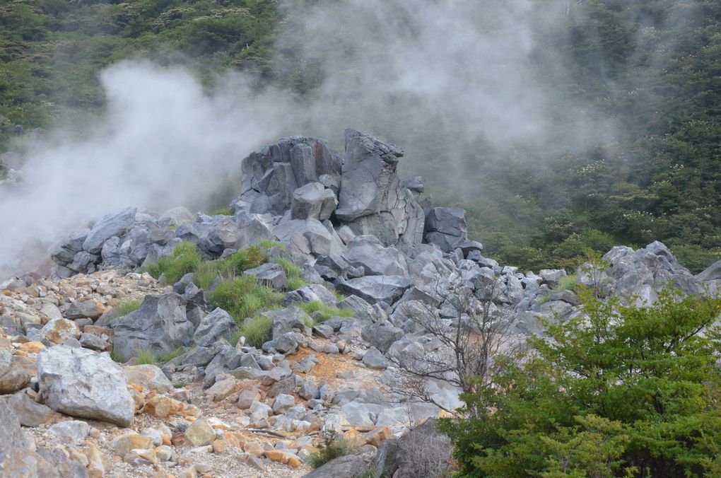 Album - HAKONE