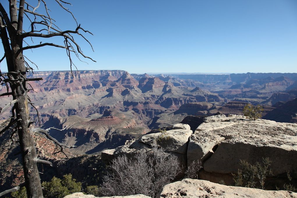 The road trip - Grand Canyon
