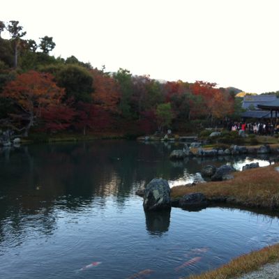 Arashiyama