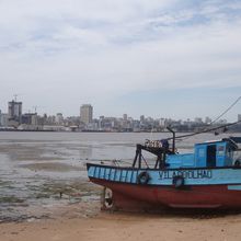A exploração do meio ambiente: ou como Moçambique está perdendo suas riquezas naturais