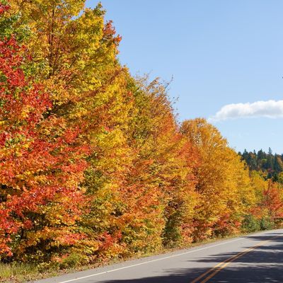les couleurs de la Mauricie