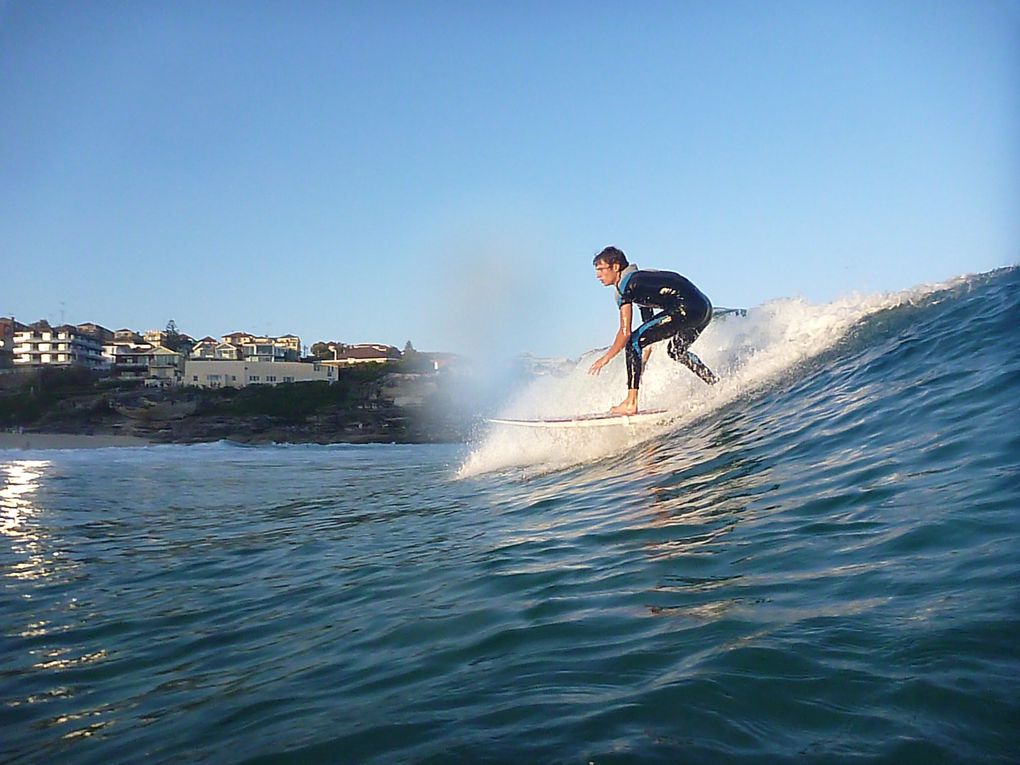 Quelques photos de ben et de tamarama