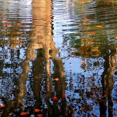 Canal du Midi : reflets artistiques!