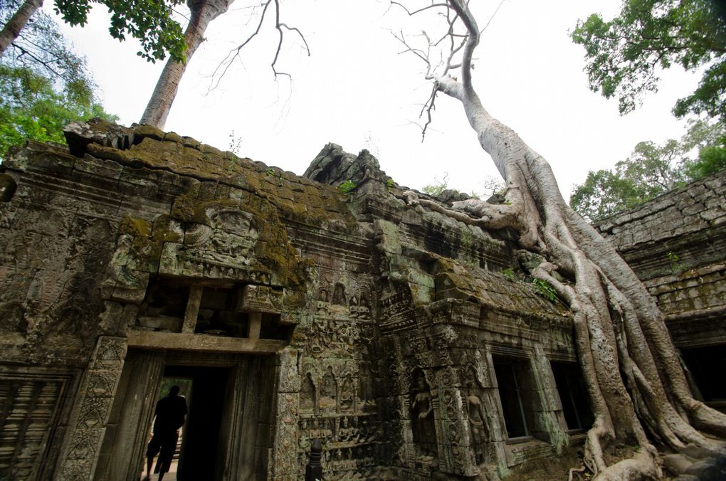 1 jour de visite du site des temples d'Angkor a Siem Reap au Cambodge