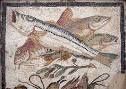 Carpefeuch fête l'an nouveau  : en janvier, à Nîmes, après le tour de la barque romaine ! voici venu le temps des agapes saturnales ! Les fresques ou mosaïques attestent ici ou là, à Pompéi ou à Piazza Armerina, en Sicile, du goût antique pour le poisson.