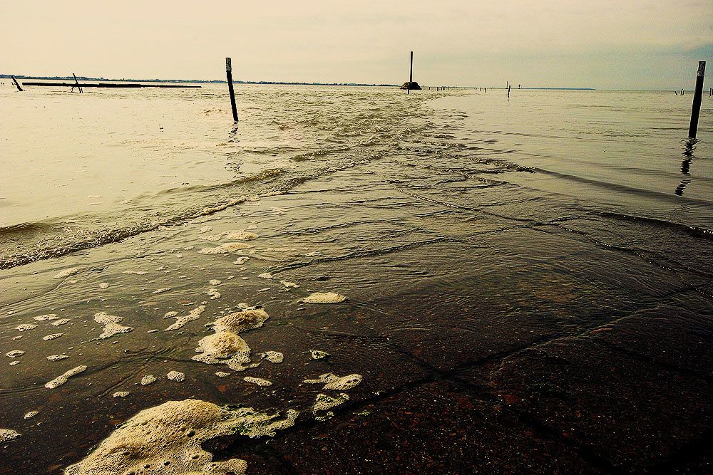 Album - Le passage du Gois Noirmoutier