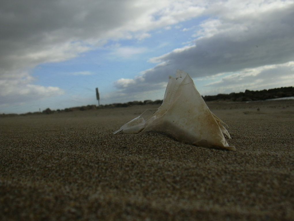 Photos de 2003 sur la plage de valras-plage (Herault)