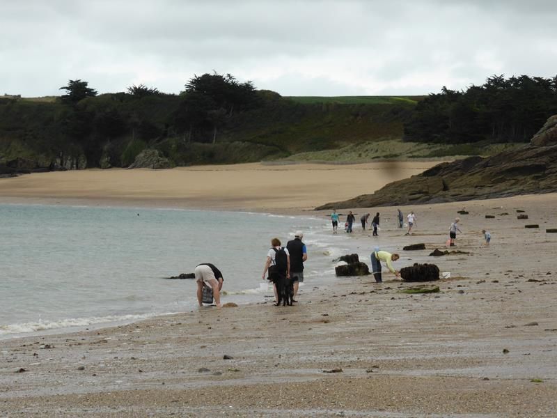 ...habitués ou "occasionnels", comme nous, commencent la pêche à pied...