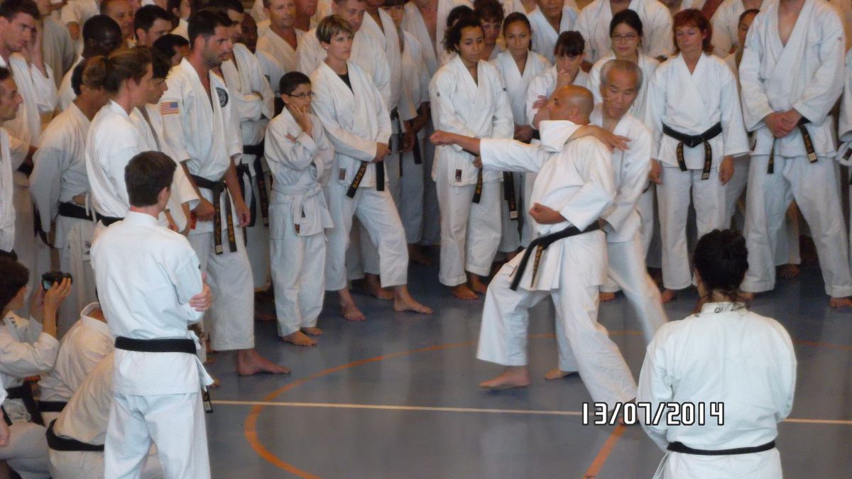 Les 50 ans de France Shotokan