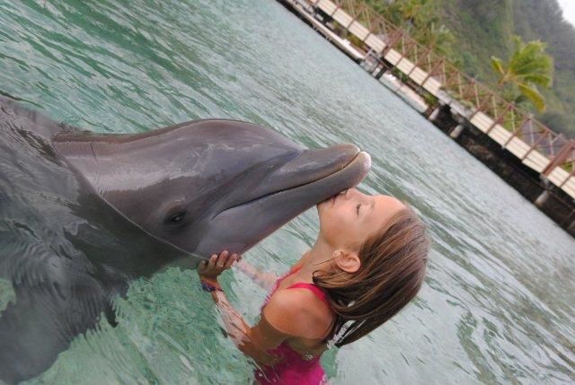 photos de dauphins en captivité à l'intercontental de Mooréa: idéal pour les enfants...