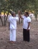 Vidéos spécial exercices de base de tui shou style Yangjia michuan taiji quan