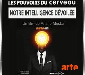 Le pouvoir du cerveau, documentaire volet 2 : notre intelligence dévoilée