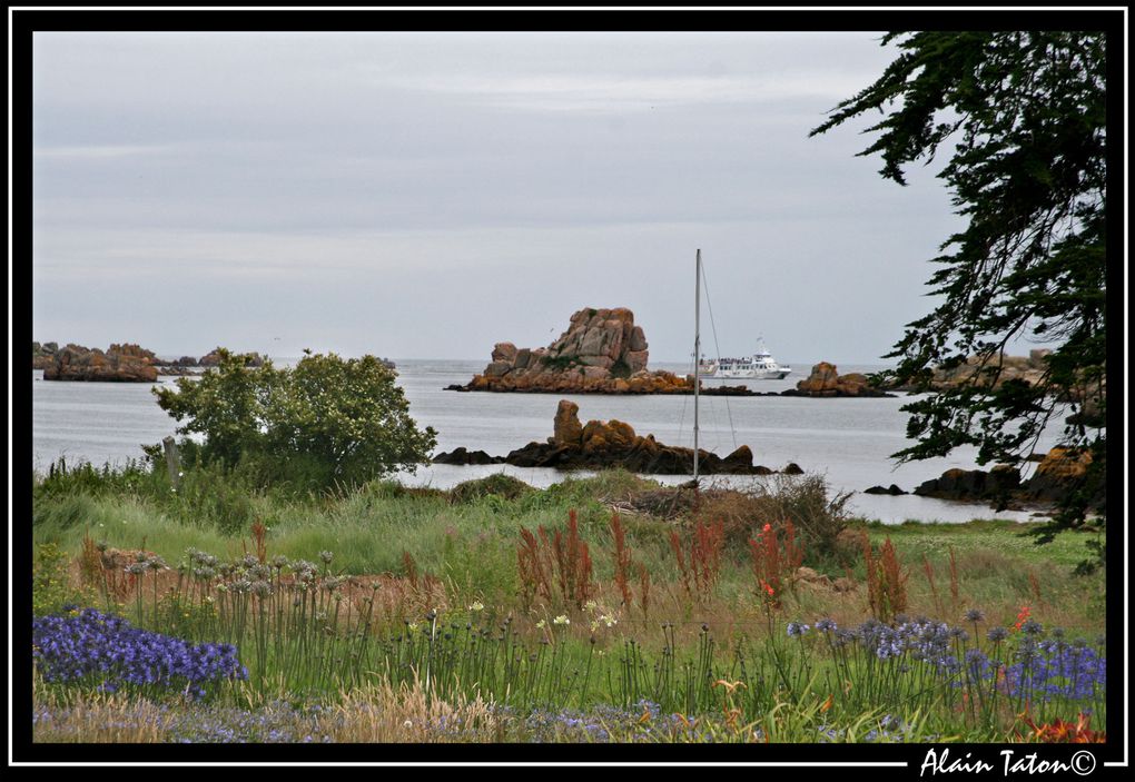 Album - île-de-Bréhat