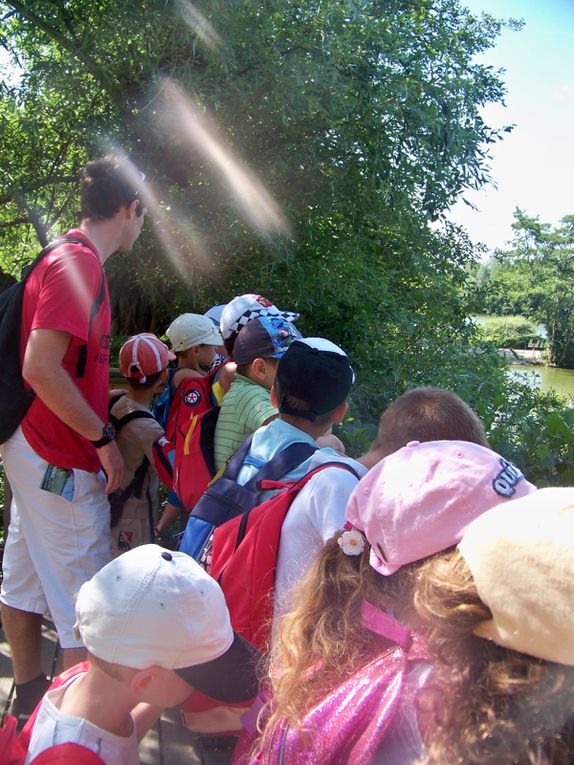 Album - 2011-2012-Parc-des-Oiseaux