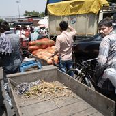 Azadpur mandi 8 /05/23