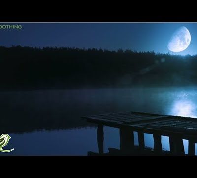 Relaxing Sleep Music 24/7: Sweet Dreams, Fall Asleep, Deep Sleeping Music, Beat Insomnia