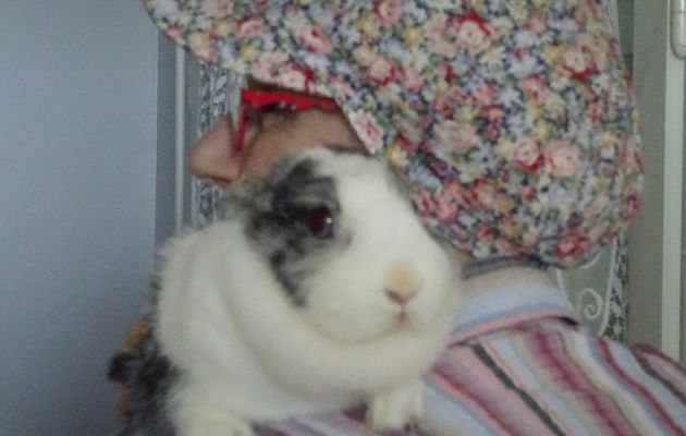 Regard sous une casquette en fleurs