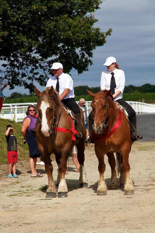 Album - Fete-du-cheval-Loudéac-2013