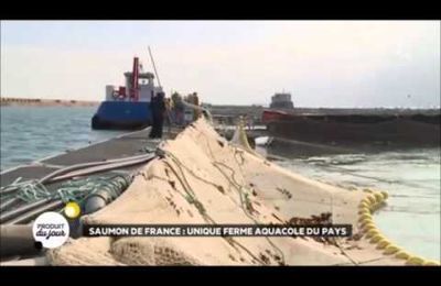 Saumon de France en plein essor
