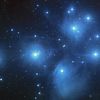 Les Pleiades: il y a 7 étoiles dans les pleiades.