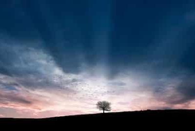 Quand nous aurons pris conscience que le passé, on ne le changera pas ...