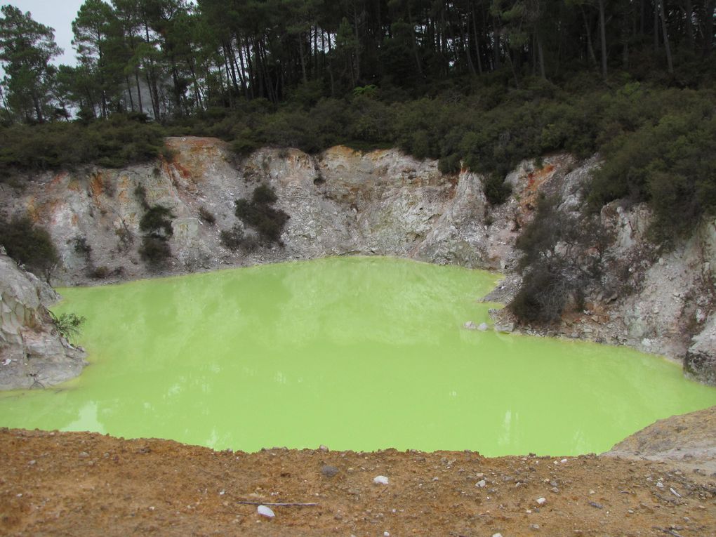 Album - NZ-De-taupo-a-Rotorua